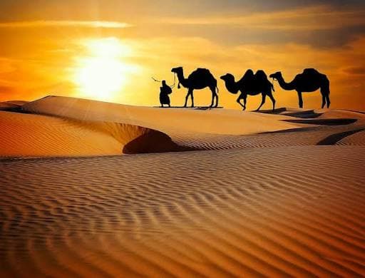 Rajasthan photo 3